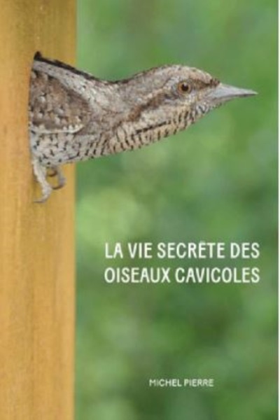 VIE SECRETE DES OISEAUX CAVICOLES