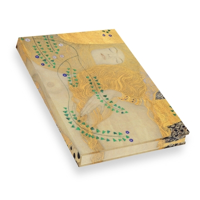 CARNET HAZAN PLEINE TOILE. KLIMT L´HYDRE