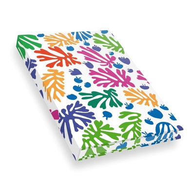 CARNET HAZAN PLEINE TOILE. MATISSE LA PERRUCHE ET LA SIRENE