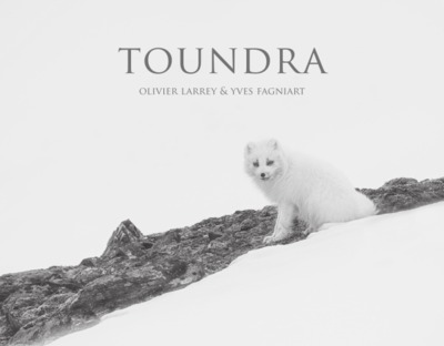 TOUNDRA (LIVRE PLUS FILM)