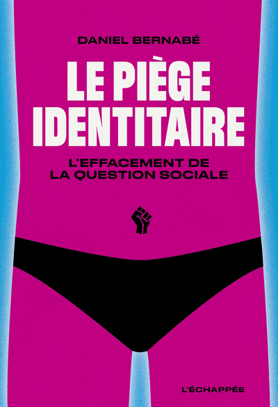 PIEGE IDENTITAIRE - L EFFACEMENT DE LA QUESTION SOCIALE