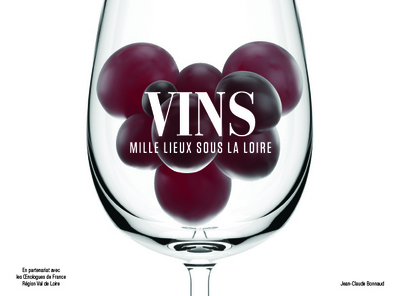VINS MILLE LIEUX SOUS LA LOIRE