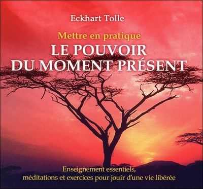 METTRE EN PRATIQUE LE POUVOIR DU MOMENT PRESENT - LIVRE AUDIO