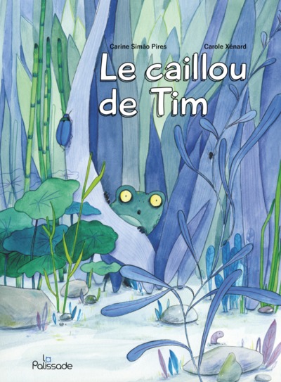 CAILLOU DE TIM