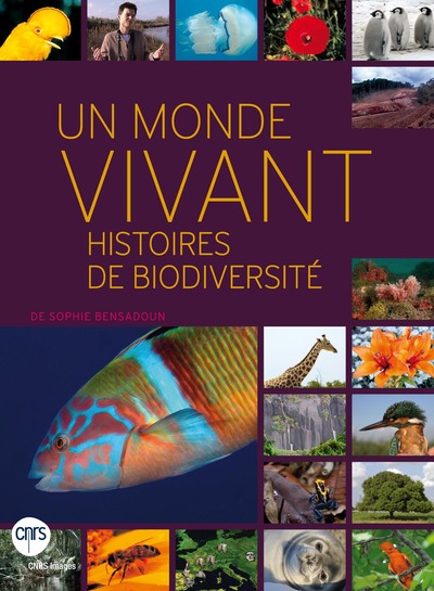 MONDE VIVANT: HISTOIRES DE BIODIVERSITE DVD