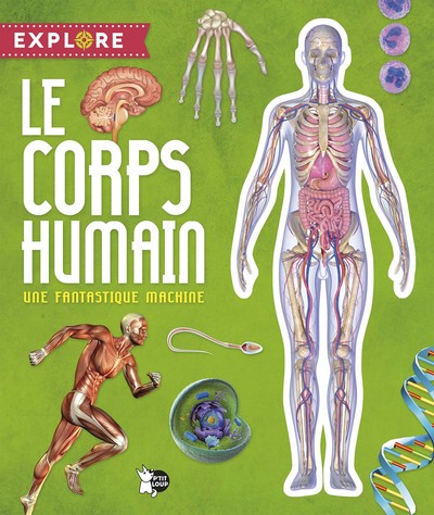 CORPS HUMAIN