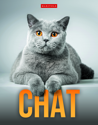 CHAT
