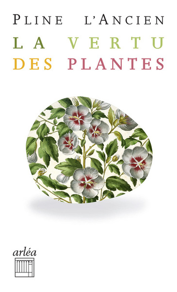 VERTU DES PLANTES - N  49