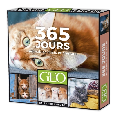 365 JOURS ADORABLES CHATS ET CHATONS - CALENDRIERS GEO