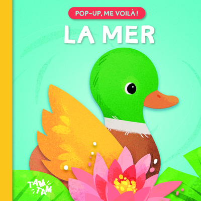 MER POP UP