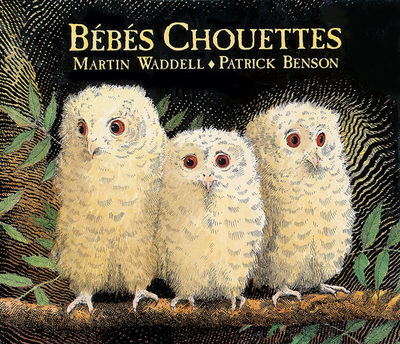 BEBES CHOUETTES (TOUT CARTON)