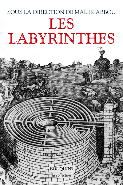 LABYRINTHES - VINGT MILLE ANS DE METAMORPHOSES