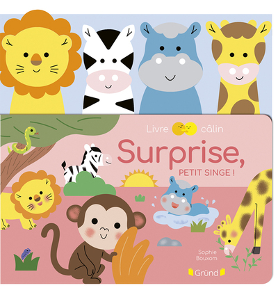 SURPRISE, PETIT SINGE !