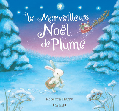 MERVEILLEUX NOEL DE PLUME