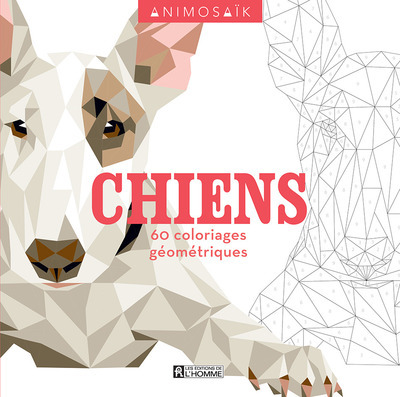 ANIMOSAIK - CHIENS