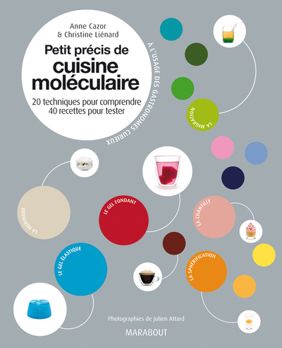 PETIT PRECIS DE CUISINE MOLECULAIRE