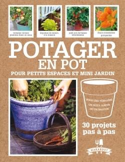 POTAGER EN POT POUR PETITS ESPACES ET MINI JARDIN