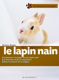 LAPIN NAIN