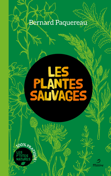 PLANTES SAUVAGES (COLL. LES P´TITES NATURES) (DI) (BP)