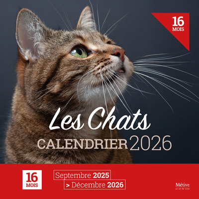 CHATS - CALENDRIER 2026