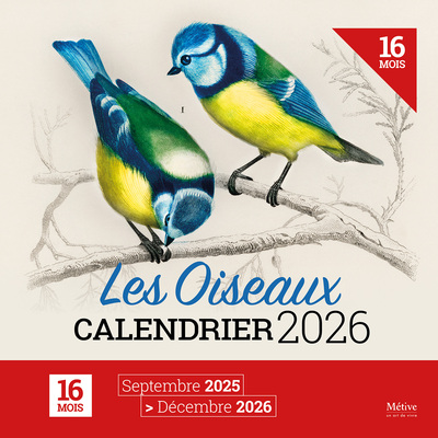 OISEAUX - CALENDRIER 2026
