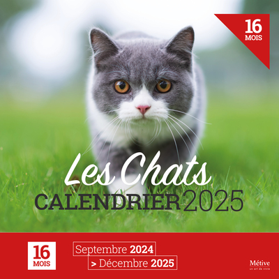 CHATS - CALENDRIER 2025