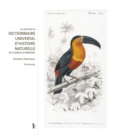 DICTIONNAIRE UNIVERSEL D´HISTOIRE NATURELLE DE CHARLES D´ORBIGNY