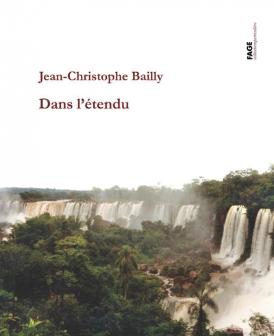 DANS L ETENDU