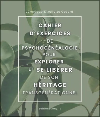CAHIER D´EXERCICES DE PSYCHOGENEALOGIE POUR EXPLORER ET SE LIBERER DE SON HERITAGE TRANSGENERATIONNE