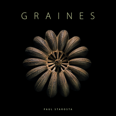 GRAINES - ILLUSTRATIONS, COULEUR