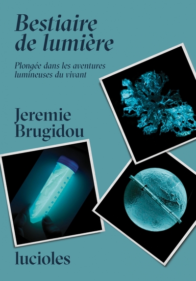BESTIAIRE DE LUMIERE - PLONGEE DANS LES AVENTURES LUMINEUSES