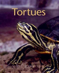 TORTUES -PTS PRAT.ANIMAUX N8