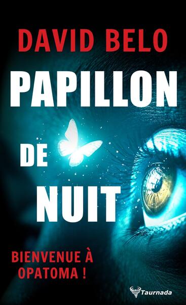 PAPILLON DE NUIT