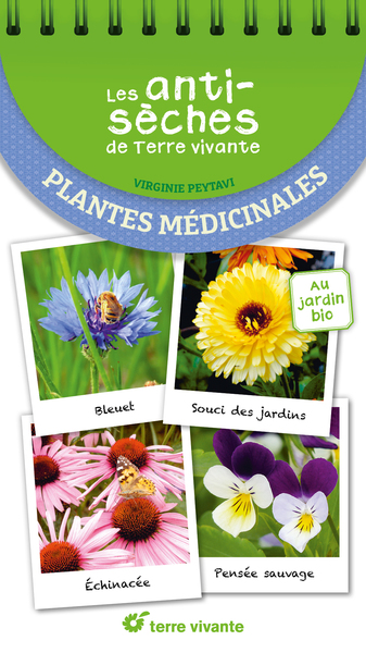 LES ANTISECHES DE TERRE VIVANTE : PLANTES MEDICINALES