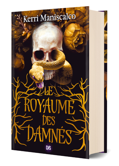 ROYAUME DES DAMNES T01 (RELIE COLLECTOR)