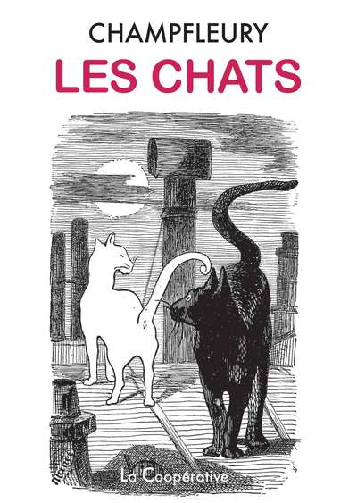 CHATS - HISTOIRE, MOEURS, OBSERVATIONS, ANECDOTES. - ILLUSTRATIONS, NOI