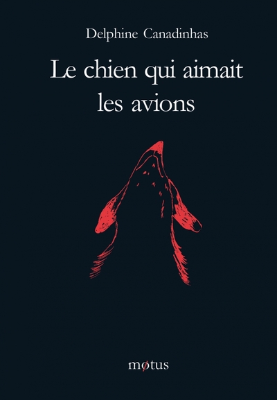 CHIEN QUI AIMAIT LES AVIONS