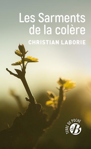 SARMENTS DE LA COLERE