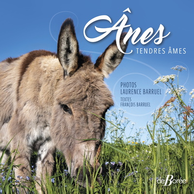 ANES - TENDRES AMES