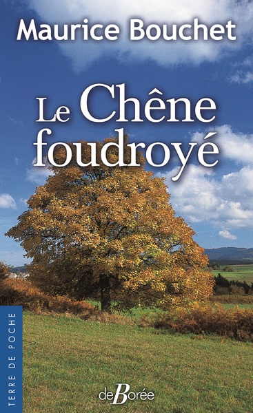 CHENE FOUDROYE - POCHE