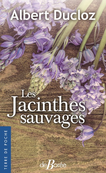 JACINTHES SAUVAGES