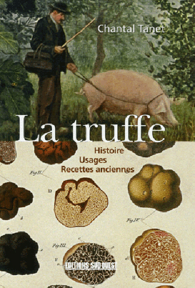 TRUFFE, HISTOIRE USAGES RECETTES ANCIENNES
