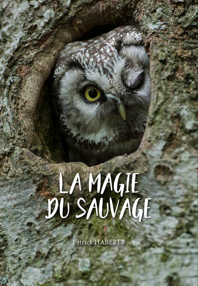 MAGIE DU SAUVAGE