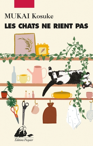 CHATS NE RIENT PAS