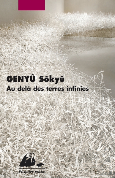 AU-DELA DES TERRES INFINIES