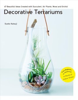 DECORATIVE TERRARIUMS: 47 BEAUTIFUL IDEAS CREATED WITH SUCCULENT, AIR PLANTS, MOSS AND ORCHID: /ANGL