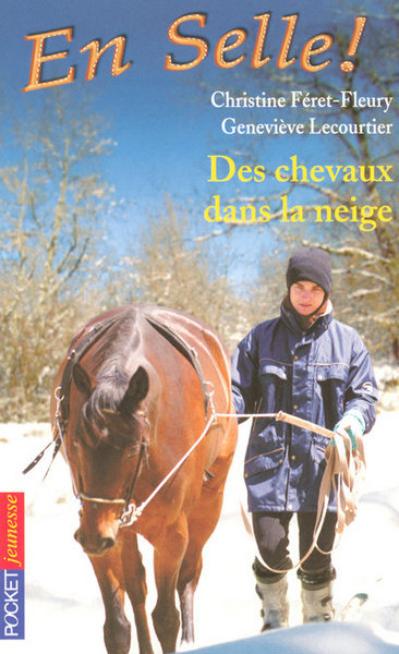 EN SELLE N19 DES CHEVAUX DANS LA NEIGE