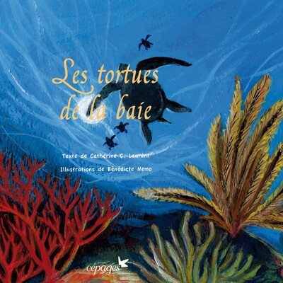 TORTUES DE LA BAIE