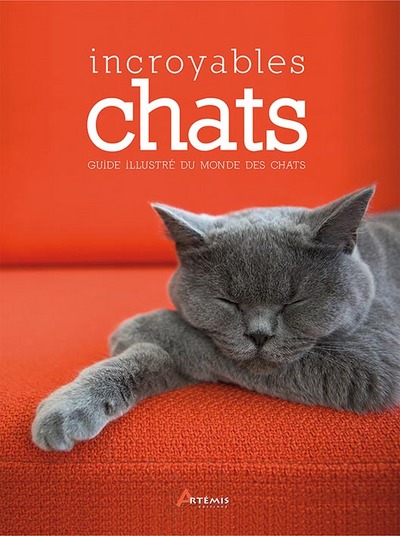 INCROYABLES CHATS