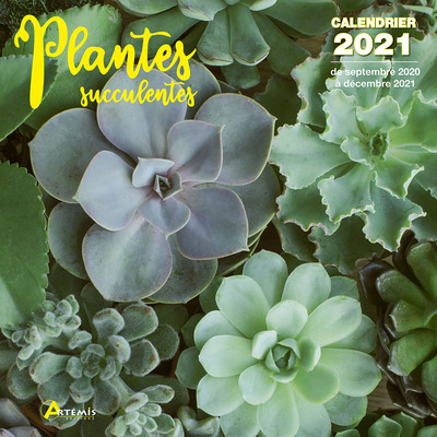 CALENDRIER PLANTES SUCCULENTES 2021
